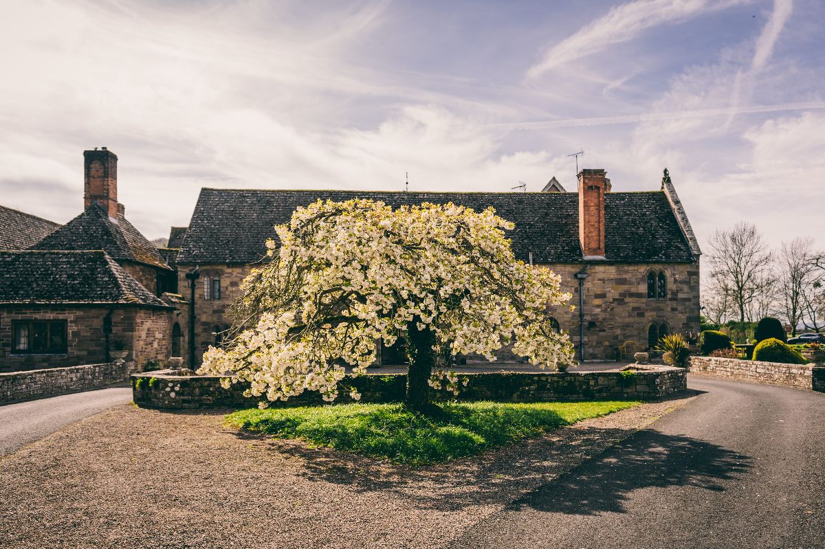 Gallery Item 6 for Brinsop Court Estate