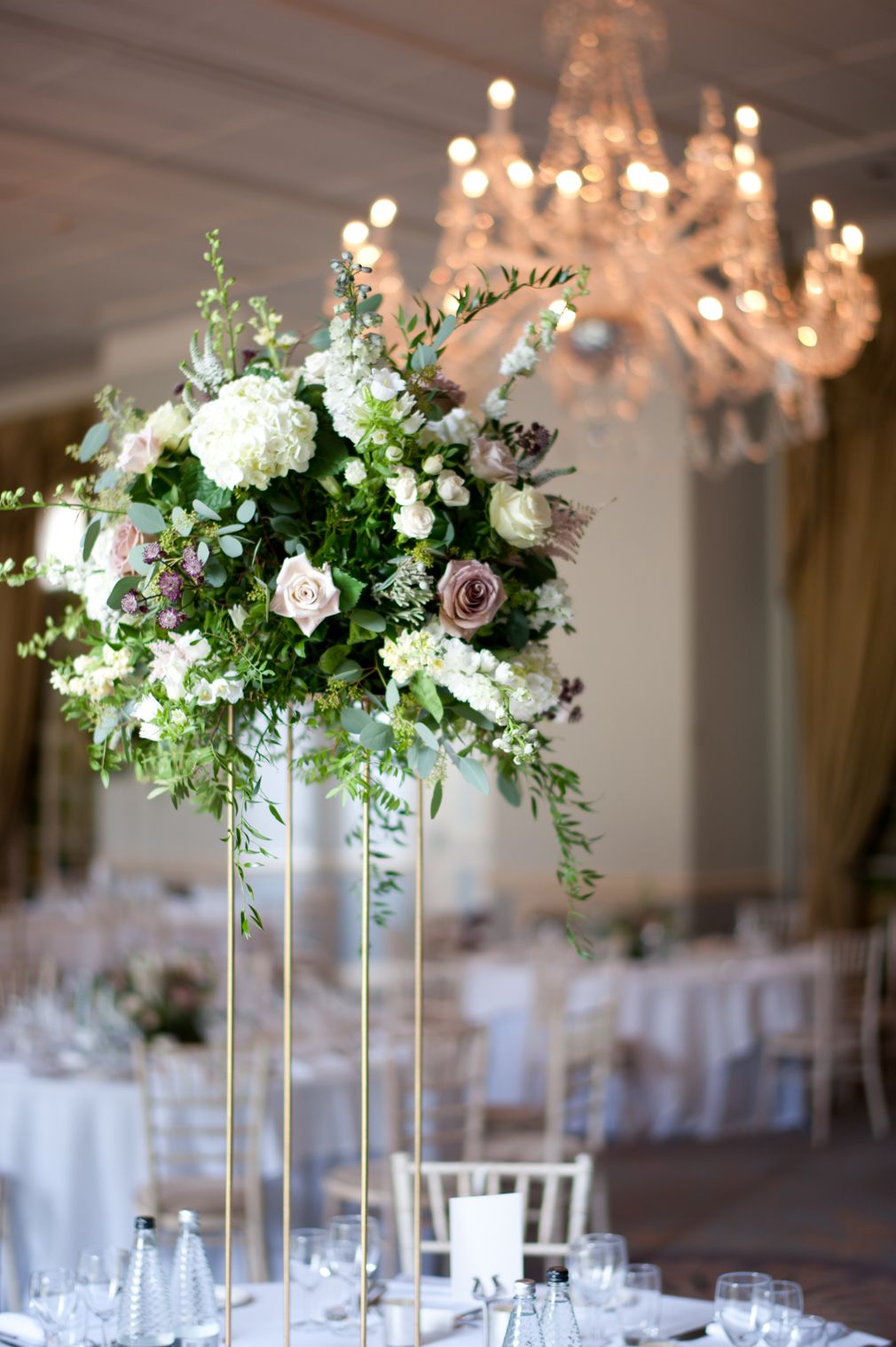 Gallery Item 7 for Stapleford Park