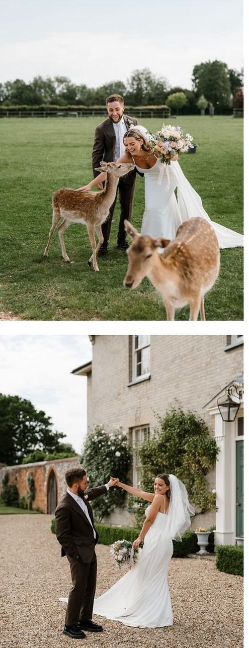 Gallery Item 3 for Hill Farm Massingham