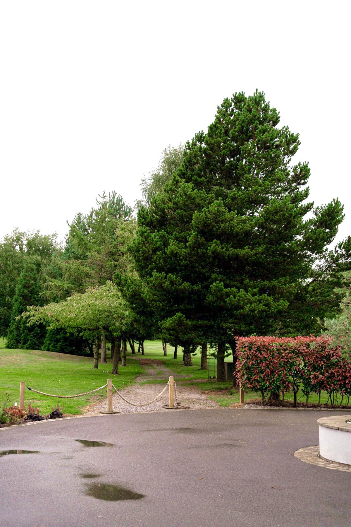 Gallery Item 8 for Room One Hartford Golf Club